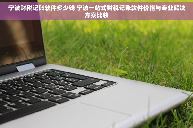宁波财税记账软件多少钱 宁波一站式财税记账软件价格与专业解决方案比较