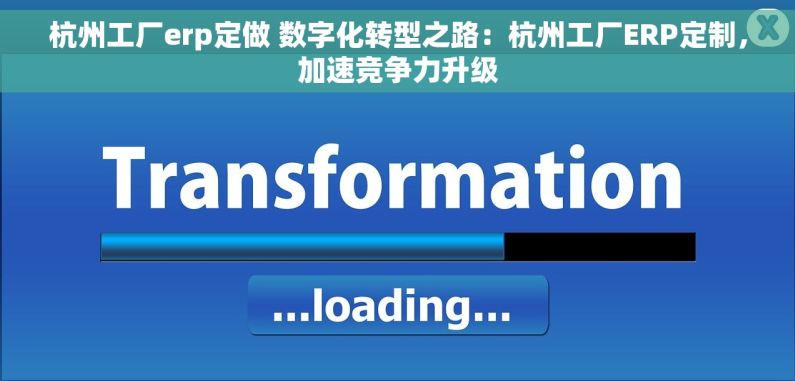 杭州工厂erp定做 数字化转型之路：杭州工厂ERP定制，加速竞争力升级