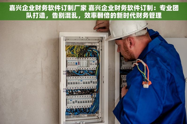 嘉兴企业财务软件订制厂家 嘉兴企业财务软件订制：专业团队打造，告别混乱，效率翻倍的新时代财务管理