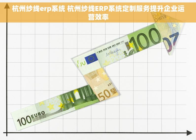 杭州纱线erp系统 杭州纱线ERP系统定制服务提升企业运营效率