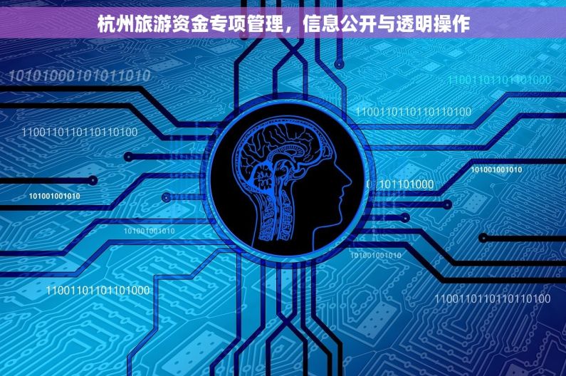 杭州旅游资金专项管理，信息公开与透明操作