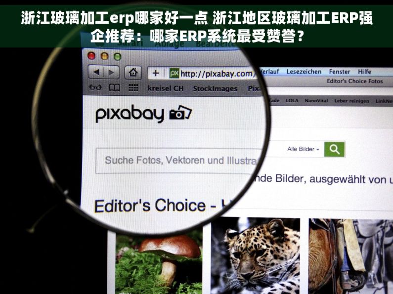 浙江玻璃加工erp哪家好一点 浙江地区玻璃加工ERP强企推荐：哪家ERP系统最受赞誉？