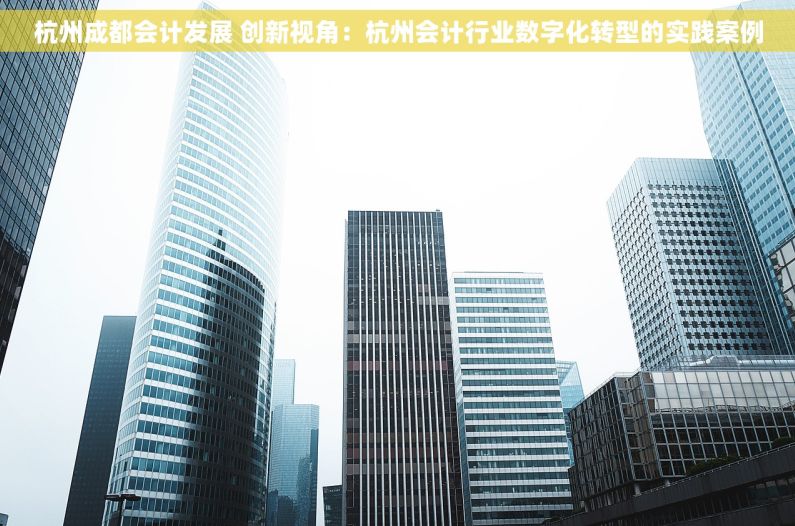 杭州成都会计发展 创新视角：杭州会计行业数字化转型的实践案例