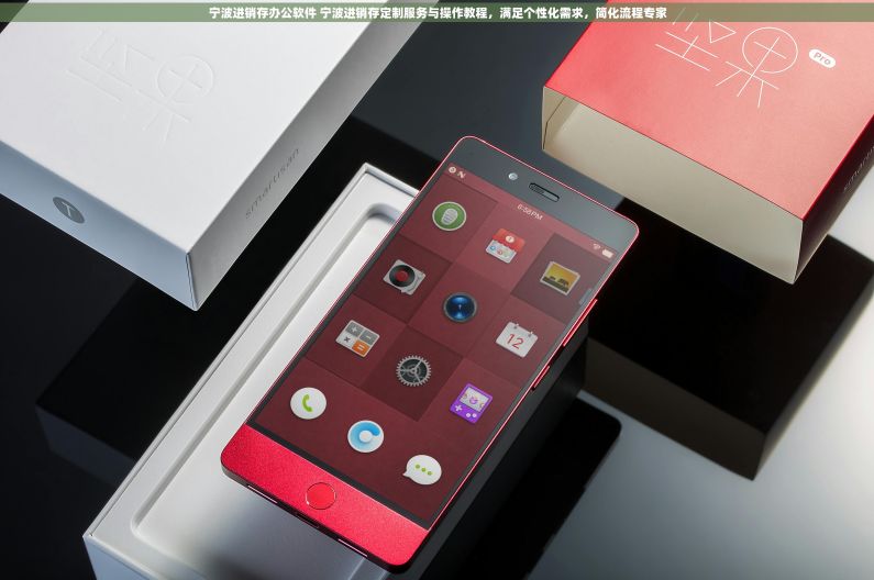 宁波进销存办公软件 宁波进销存定制服务与操作教程，满足个性化需求，简化流程专家