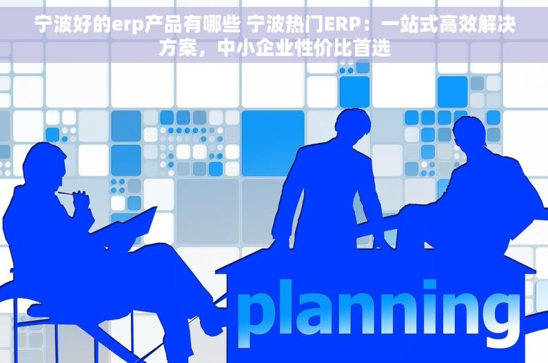 宁波好的erp产品有哪些 宁波热门ERP：一站式高效解决方案，中小企业性价比首选