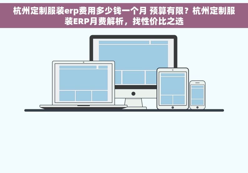 杭州定制服装erp费用多少钱一个月 预算有限？杭州定制服装ERP月费解析，找性价比之选