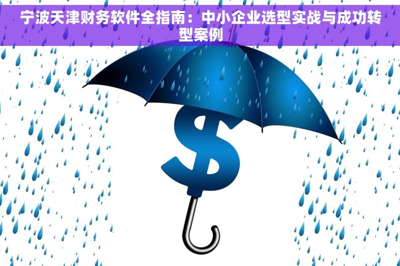 宁波天津财务软件全指南：中小企业选型实战与成功转型案例