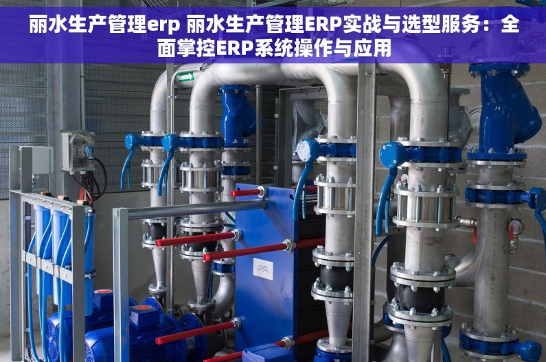 丽水生产管理erp 丽水生产管理ERP实战与选型服务：全面掌控ERP系统操作与应用