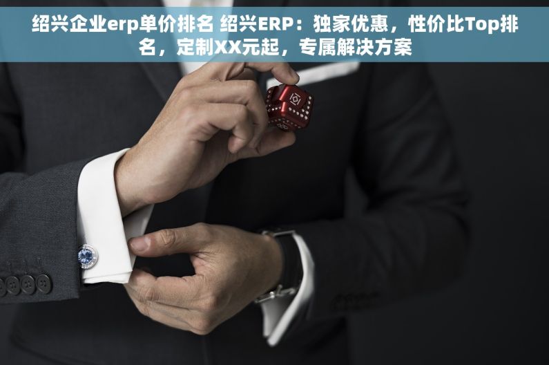 绍兴企业erp单价排名 绍兴ERP：独家优惠，性价比Top排名，定制XX元起，专属解决方案