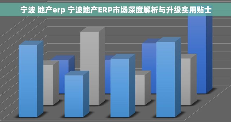 宁波 地产erp 宁波地产ERP市场深度解析与升级实用贴士