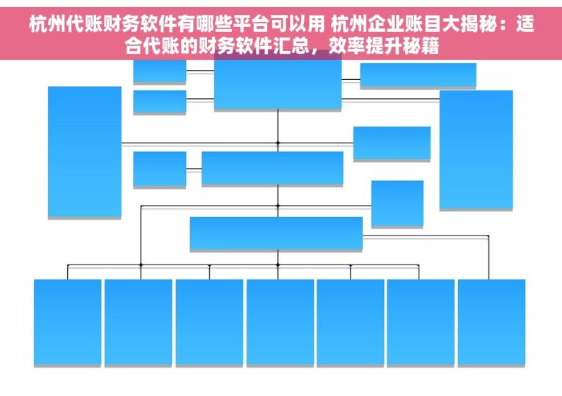 杭州代账财务软件有哪些平台可以用 杭州企业账目大揭秘：适合代账的财务软件汇总，效率提升秘籍