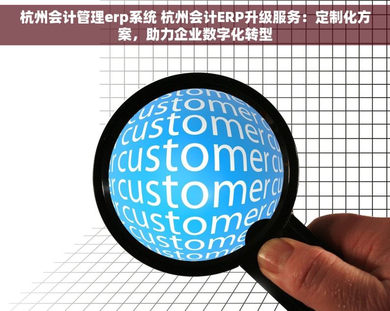 杭州会计管理erp系统 杭州会计ERP升级服务：定制化方案，助力企业数字化转型