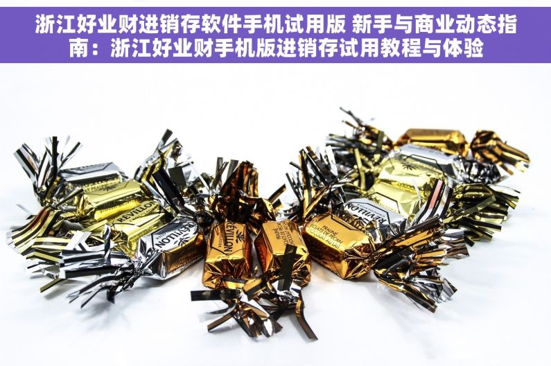 浙江好业财进销存软件手机试用版 新手与商业动态指南：浙江好业财手机版进销存试用教程与体验