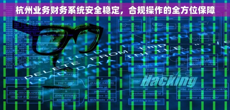 杭州业务财务系统安全稳定，合规操作的全方位保障