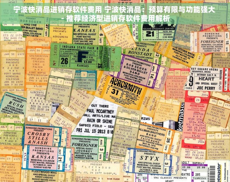 宁波快消品进销存软件费用 宁波快消品：预算有限与功能强大 - 推荐经济型进销存软件费用解析