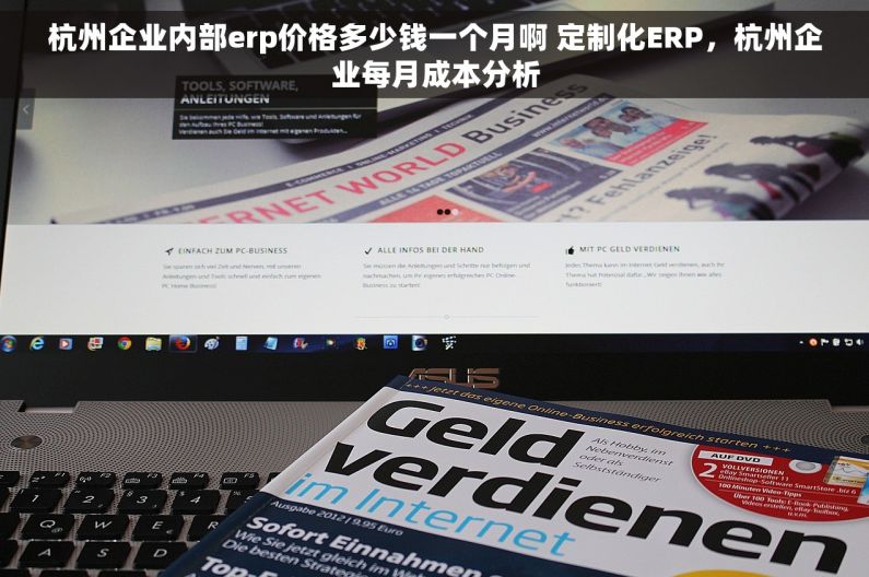 杭州企业内部erp价格多少钱一个月啊 定制化ERP，杭州企业每月成本分析