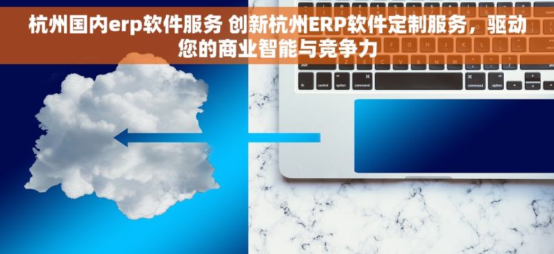 杭州国内erp软件服务 创新杭州ERP软件定制服务，驱动您的商业智能与竞争力