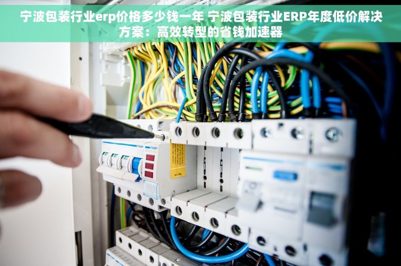 宁波包装行业erp价格多少钱一年 宁波包装行业ERP年度低价解决方案：高效转型的省钱加速器