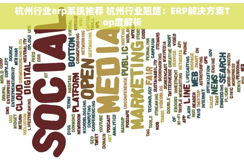 杭州行业erp系统推荐 杭州行业翘楚：ERP解决方案Top度解析