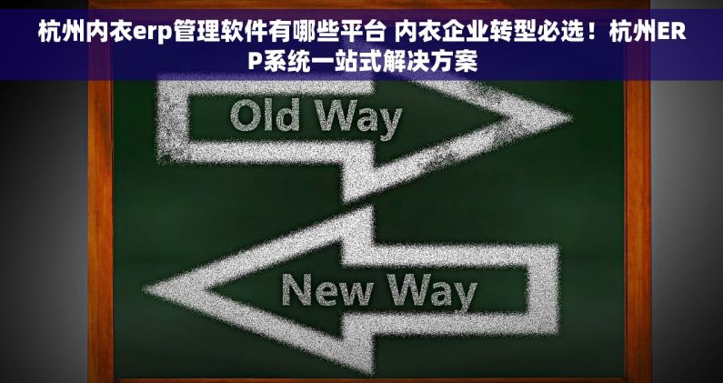 杭州内衣erp管理软件有哪些平台 内衣企业转型必选！杭州ERP系统一站式解决方案