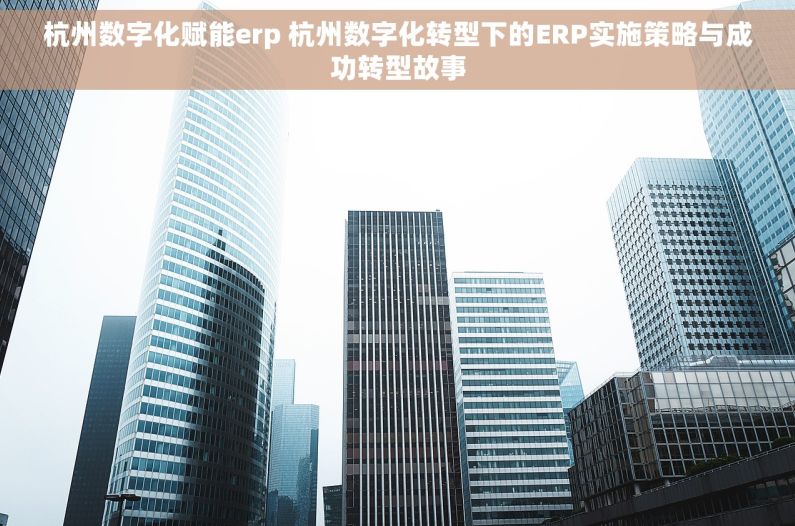 杭州数字化赋能erp 杭州数字化转型下的ERP实施策略与成功转型故事