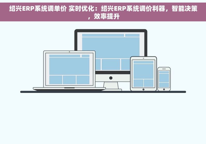 绍兴ERP系统调单价 实时优化：绍兴ERP系统调价利器，智能决策，效率提升