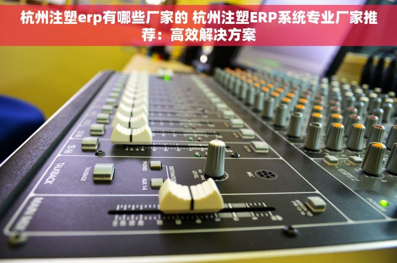 杭州注塑erp有哪些厂家的 杭州注塑ERP系统专业厂家推荐：高效解决方案