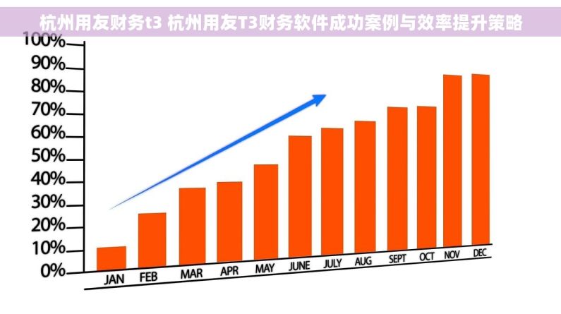 杭州用友财务t3 杭州用友T3财务软件成功案例与效率提升策略