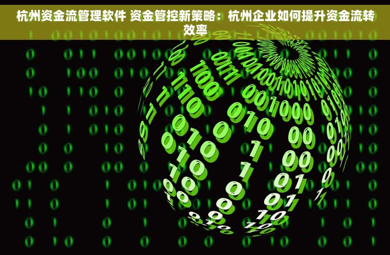 杭州资金流管理软件 资金管控新策略：杭州企业如何提升资金流转效率