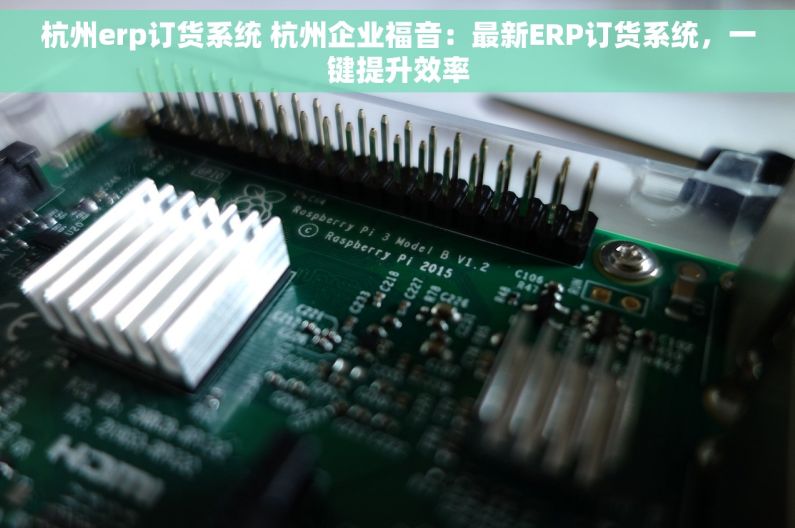杭州erp订货系统 杭州企业福音：最新ERP订货系统，一键提升效率
