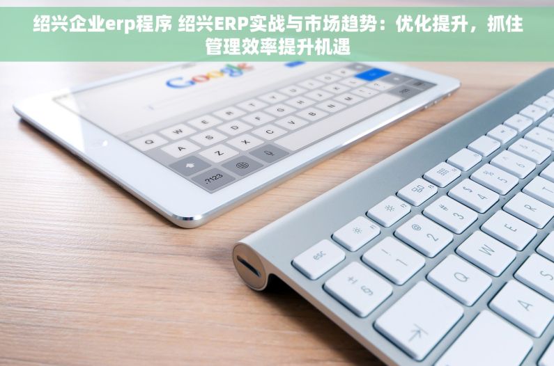 绍兴企业erp程序 绍兴ERP实战与市场趋势：优化提升，抓住管理效率提升机遇