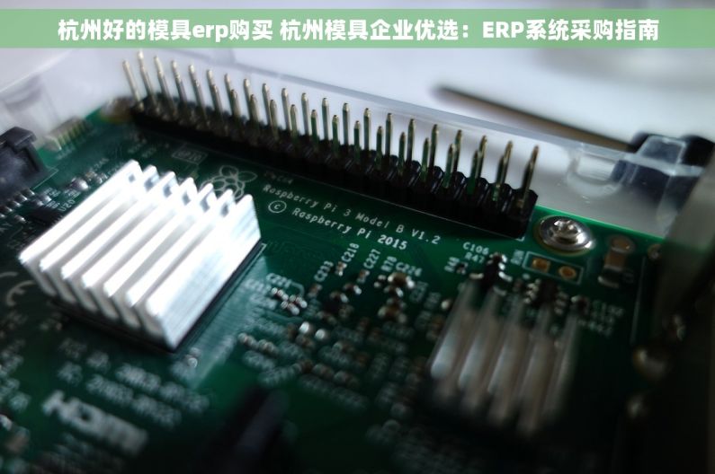 杭州好的模具erp购买 杭州模具企业优选：ERP系统采购指南