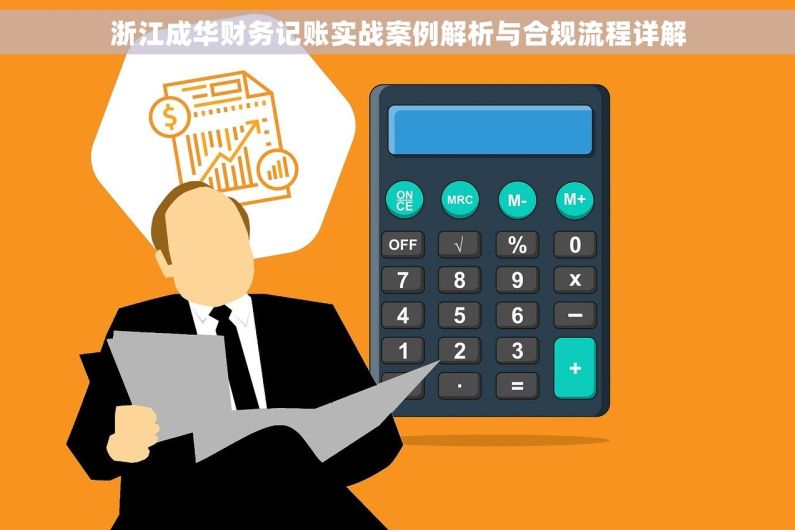 浙江成华财务记账实战案例解析与合规流程详解
