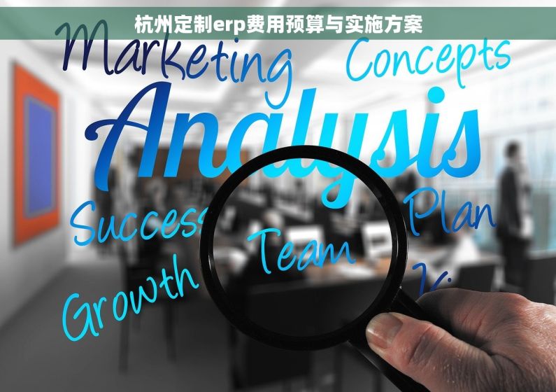 杭州定制erp费用预算与实施方案
