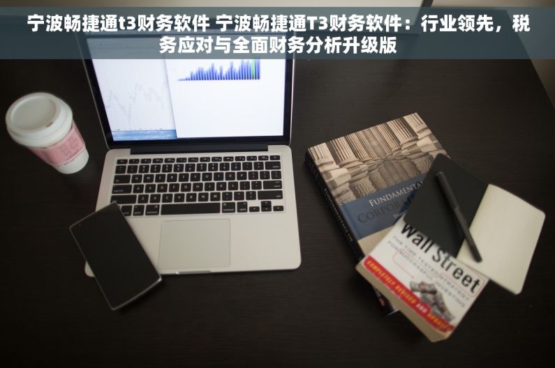 宁波畅捷通t3财务软件 宁波畅捷通T3财务软件：行业领先，税务应对与全面财务分析升级版