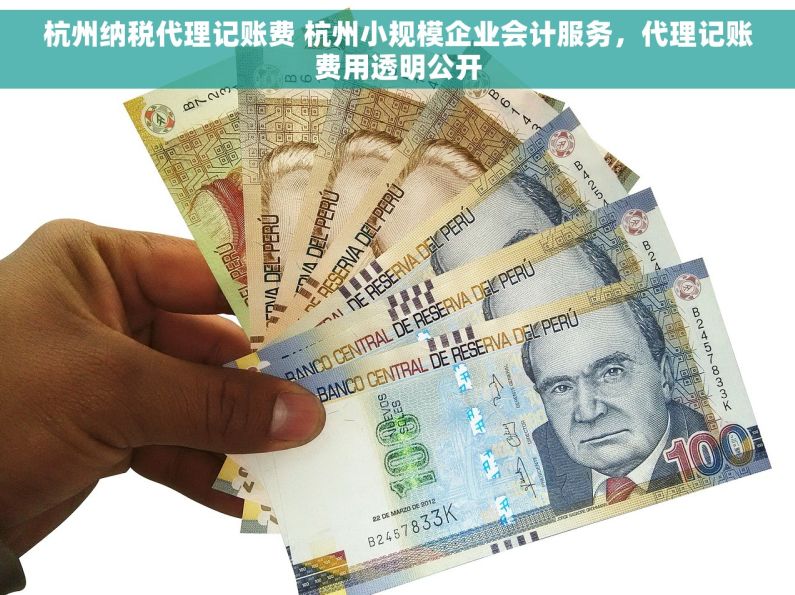 杭州纳税代理记账费 杭州小规模企业会计服务，代理记账费用透明公开