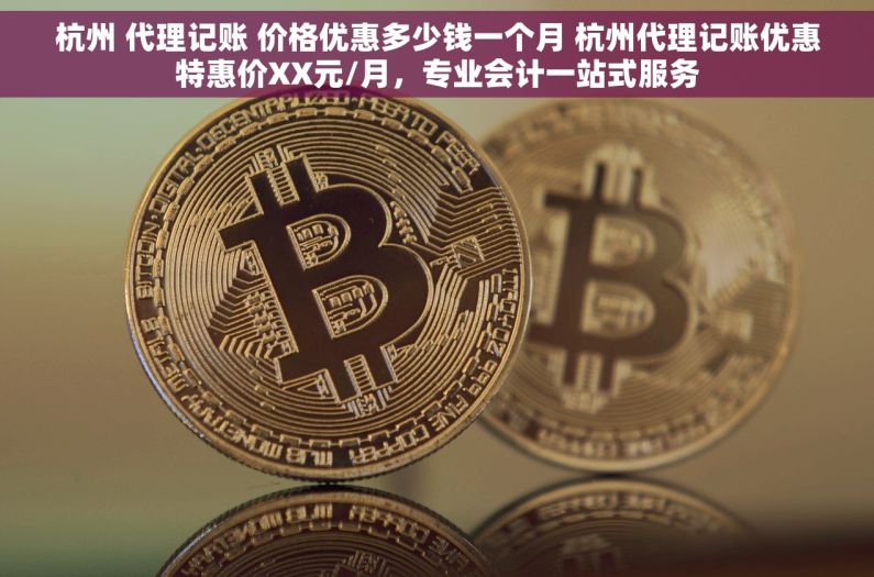 杭州 代理记账 价格优惠多少钱一个月 杭州代理记账优惠特惠价XX元/月，专业会计一站式服务