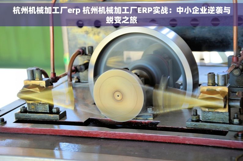 杭州机械加工厂erp 杭州机械加工厂ERP实战：中小企业逆袭与蜕变之旅