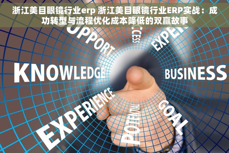 浙江美目眼镜行业erp 浙江美目眼镜行业ERP实战：成功转型与流程优化成本降低的双赢故事