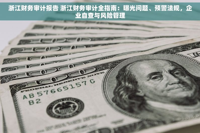 浙江财务审计报告 浙江财务审计全指南：曝光问题、预警法规，企业自查与风险管理