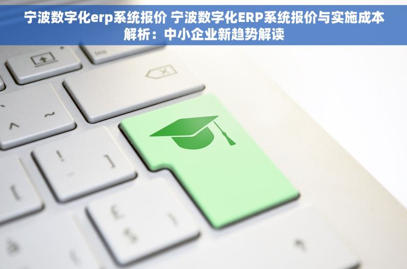 宁波数字化erp系统报价 宁波数字化ERP系统报价与实施成本解析：中小企业新趋势解读