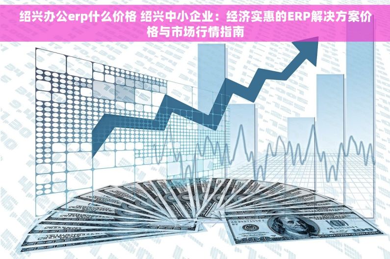 绍兴办公erp什么价格 绍兴中小企业：经济实惠的ERP解决方案价格与市场行情指南