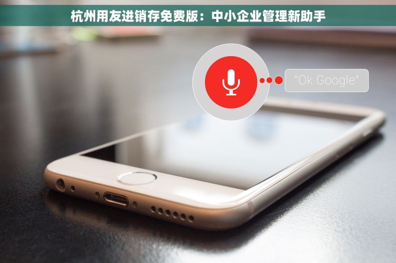 杭州用友进销存免费版：中小企业管理新助手