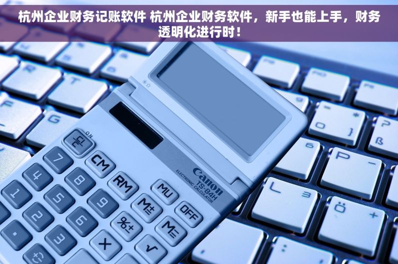杭州企业财务记账软件 杭州企业财务软件，新手也能上手，财务透明化进行时！