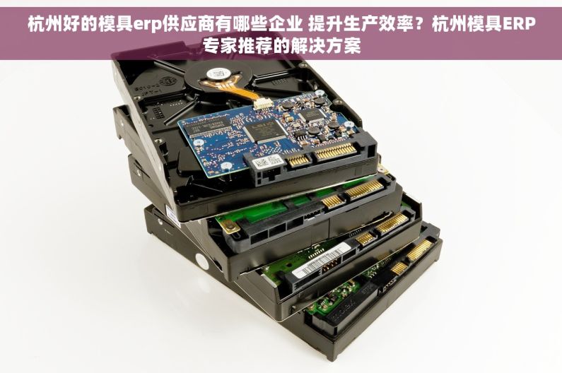 杭州好的模具erp供应商有哪些企业 提升生产效率？杭州模具ERP专家推荐的解决方案