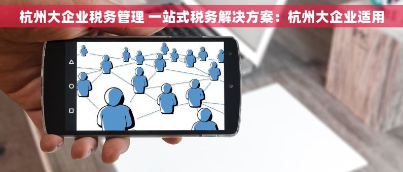 杭州大企业税务管理 一站式税务解决方案：杭州大企业适用