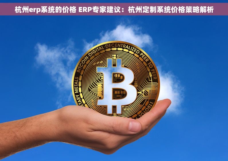 杭州erp系统的价格 ERP专家建议：杭州定制系统价格策略解析