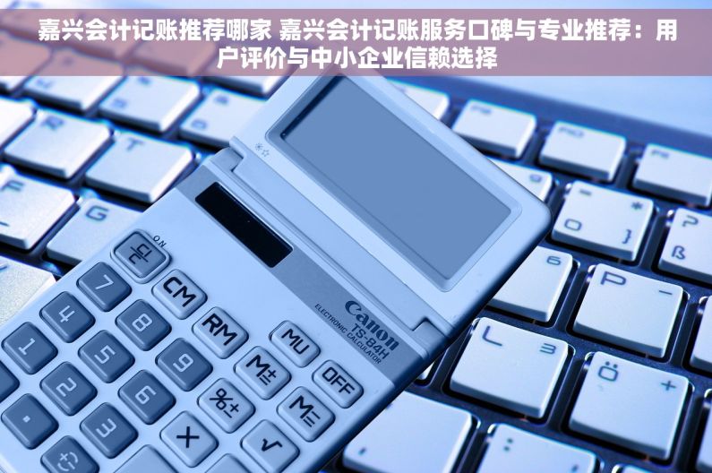 嘉兴会计记账推荐哪家 嘉兴会计记账服务口碑与专业推荐：用户评价与中小企业信赖选择