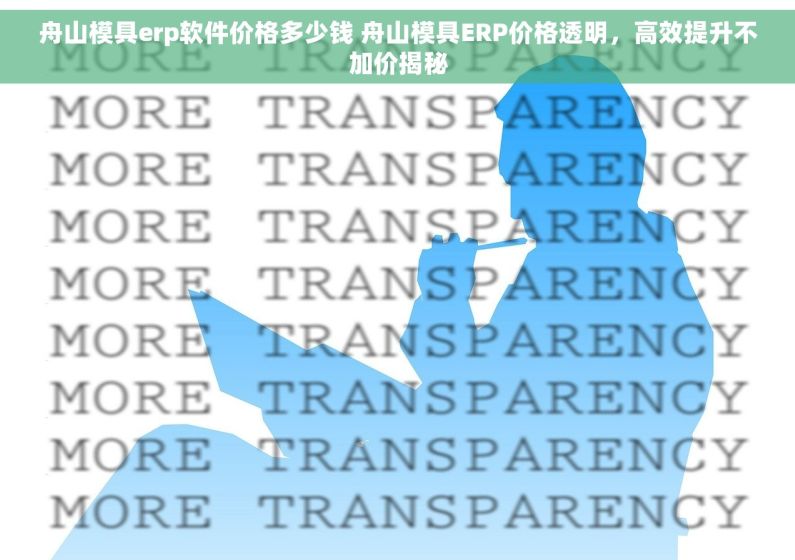 舟山模具erp软件价格多少钱 舟山模具ERP价格透明，高效提升不加价揭秘