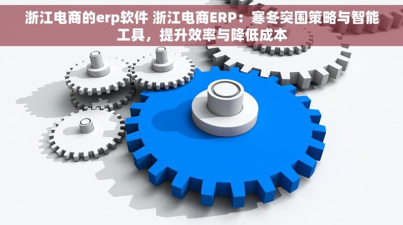 浙江电商的erp软件 浙江电商ERP：寒冬突围策略与智能工具，提升效率与降低成本